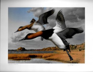 1989 Canvasbacks #1 Rhode Island Duck Stamp Print Artist Robert Steiner Folio