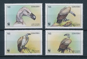 [102621] Lesotho 1998 Birds vogel oiseaux vulture WWF  MNH