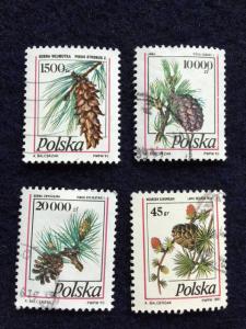 Poland – 1991, 93 & 95 – 4 Pine Cone Stamps – Used