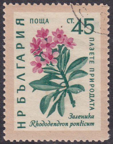 Bulgaria 1960 SG1202 Used