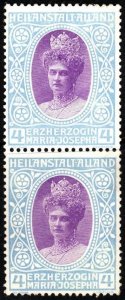 1910 Czech Poster Stamp Archduchess Maria-Josepha Alland Sanatorium