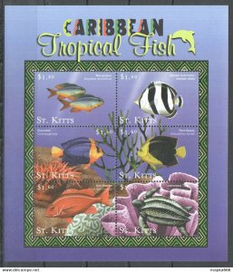 St.Kitts Fauna Marine Life Caribbean Tropical Fish 1Kb ** Pk436
