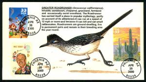 #3391a Wile E Coyote Combo - Unknown Cachet!