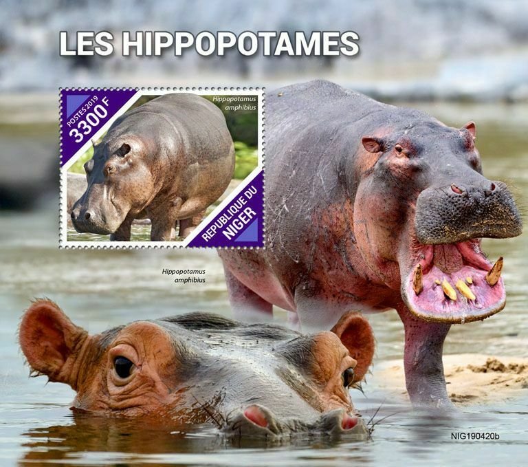 Z08 IMPERF NIG190420b NIGER 2019 Hippopotamus MNH ** Postfrisch