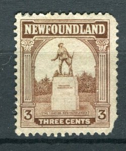 NEWFOUNDLAND; 1923-24 early Pictorial issue fine used 3c. value