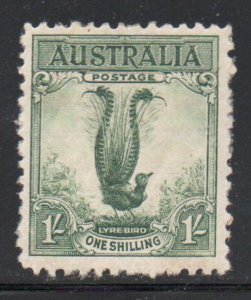 Australia Sc 141 1932 1/ Lyre Bird stamp mint NH