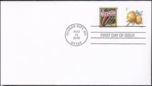 US 5037 Apples Summer Harvest Watermelons CDS FDC 2016