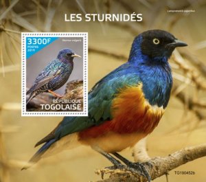 TOGO - 2019 - Starlings - Perf Souv Sheet  - M N H