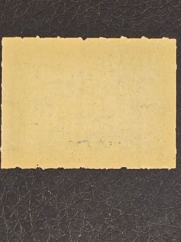 US R163 Mint Never hinged gum