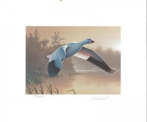 1988 Federal Duck Stamp RW55 Snow Goose Painting Print by Daniel Smith