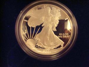 USA 2001-W Silver American Eagle Proof