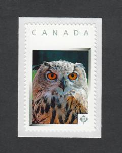 lq. EUROPEAN OWL= Bird of Prey = picture postage stamp MNH Canada 2013 [p3w7/4]