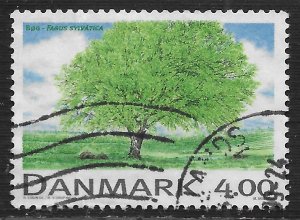 Denmark #1144 4k Deciduous Trees - Fagus Sylvatica