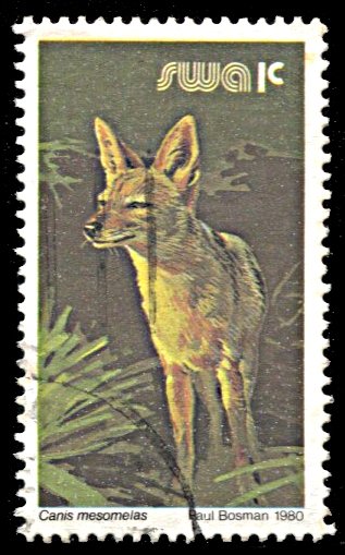 South West Africa 447, used, Black-backed Jackal