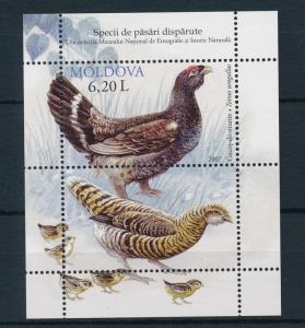 [17545] Moldova 2007 Birds Vögel Oiseaux Ucelli Souvenir Sheet MNH