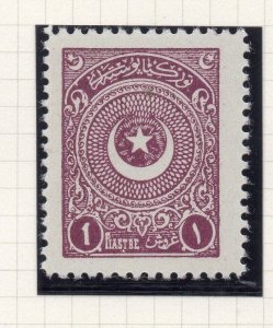 Turkey 1900s Early Issue Fine Mint Hinged 1p. NW-12267