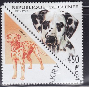 Guinea 1414 Dogs 1997