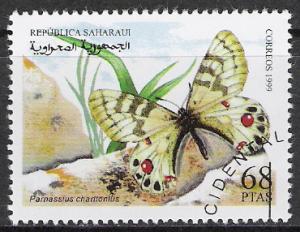 Sahara Butterfly 1999 CTO