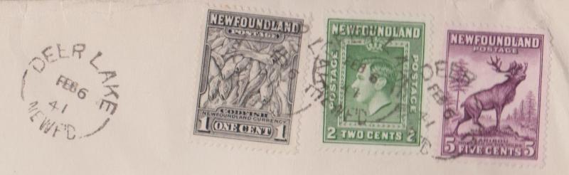 Newfoundland - Cover 1941 From Hayes Brothers - Deer Lake Split Ring Cancel