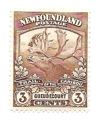 Newfoundland 1919 - M - Scott #117 *