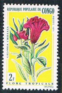 Congo PR 238 MLH Flowers (BP3823)