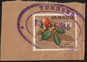 JAMAICA 1966-67 4 Temporary rubber stamps on pieces........................62742