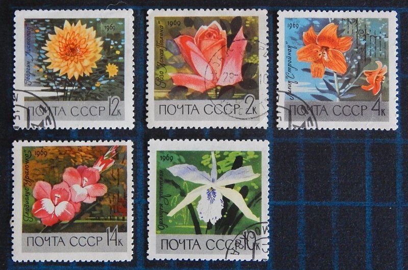 1969, Flowers (2590-Т)