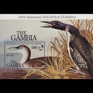 GAMBIA 1985 - Scott# 555 S/S Audubon Birds NH