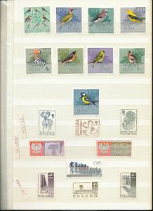 Poland 1966/67 Sport Art Birds Space Horses MNH (Appx 70+Stamps) (KR 485