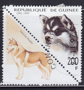 Guinea 1410 Dogs 1997