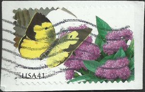 # 4156 USED PRAIRIE IRONWEED AND SOUTHERN DOGFACE BUTTERFLY