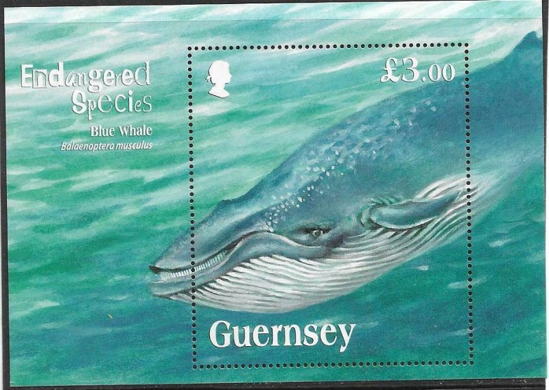 2011    GUERNSEY  -  SG.  MS 1368  -  BLUE WHALE  -  MNH