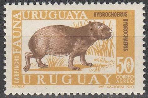 Uruguay  #C363  MNH F-VF CV $2.50 (V168)