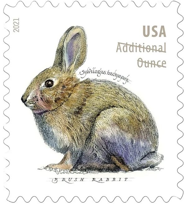 Brush Rabbit  forever stamps  5 sheet of 20, 100 pcs