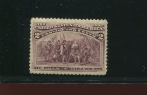 Scott 231c Columbian Broken Hat Mint Stamp  (Stock 231-1)