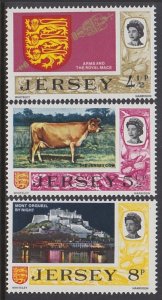 107-09 Bailiwick Issues  MNH
