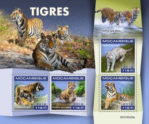 Mozambique 2019 MNH Wild Animals Stamps Tigers Siberian Tiger Fauna 4v M/S