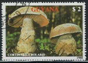 Guyana 2010a CTO 1989 issue (fe6994)