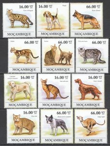 Wb233 2011 Mozambique Cats & Dogs Fauna Pets Domestic Animals 2Set Mnh