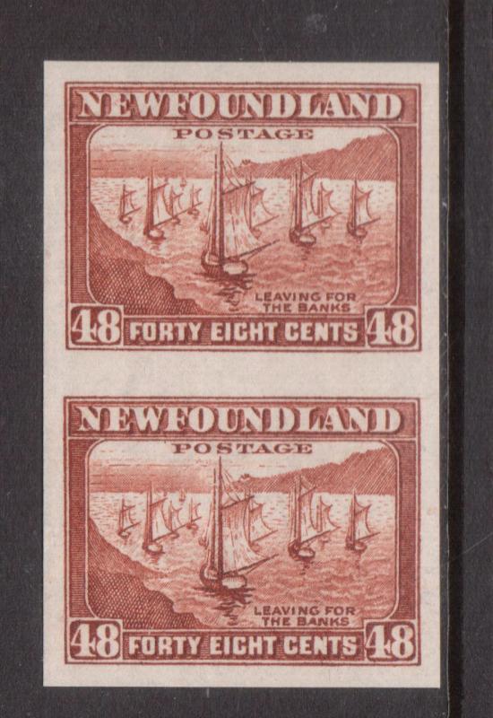 Newfoundland #199a Extra Fine Never Hinged Imperforate Pair