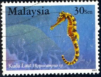 Sea Horse, Malaysia stamp SC#853 used