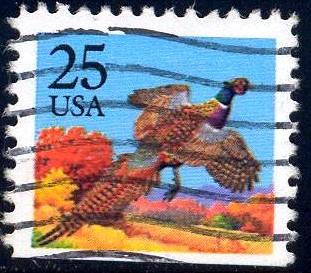 Bird, Pheasants, USA stamp SC#2283 Used