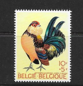 BIRDS - BELGIUM #B850 ROOSTER MNH