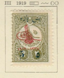 A6P4F56 Turkey Turkey Turkey Newspaper Stamp 1919 Surch 5pa on 2pa mh*-