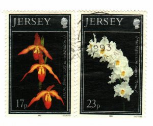 Jersey #676-7 used orchids