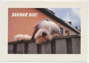 Postal stationery Sweden 2001 Dog