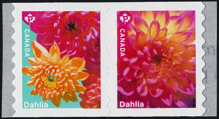 Canada 3236ai MNH Flowers, Dahlias