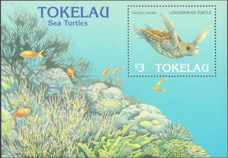 Tokelau #217-221, Complete Set(5), 1995, Turtles, Never Hinged