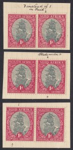 South Africa #34 Mint 3 Pairs with Varieties