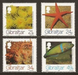 1994 Gibraltar 696-699 Marine fauna 6,50 €